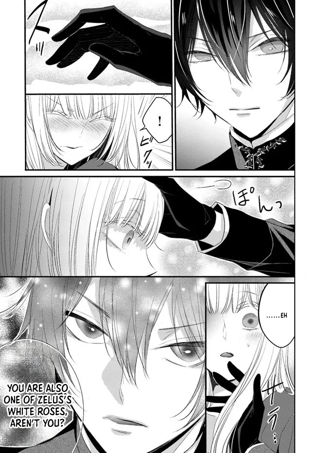 The Black Wolf King and the Silver Sacrificial Princess Chapter 4 - . Page 7